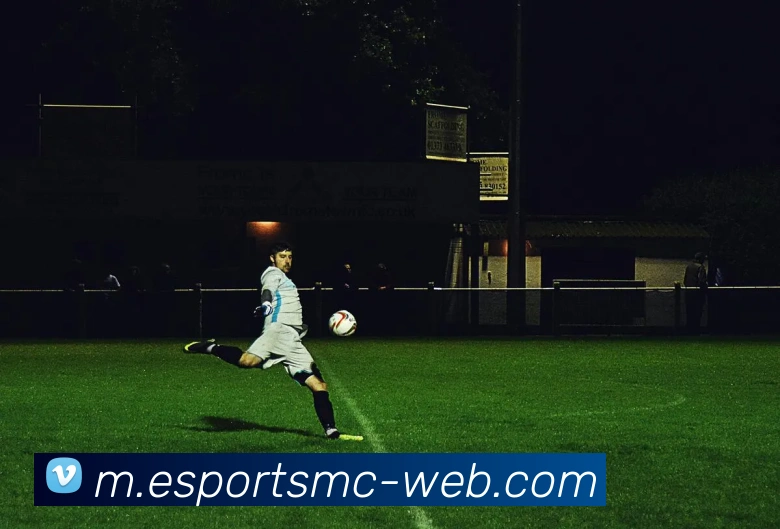 易倍体育发展历程