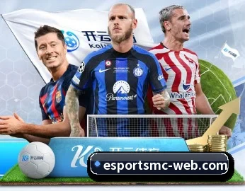 比分查询与赛事提醒（EMCSPORTS）